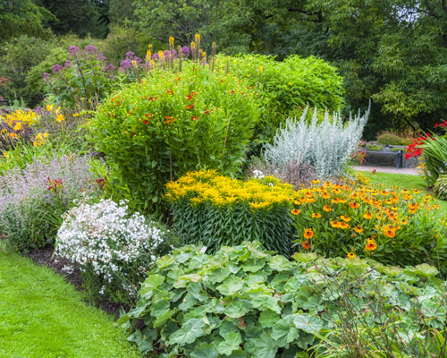 Gardening Services Orpington